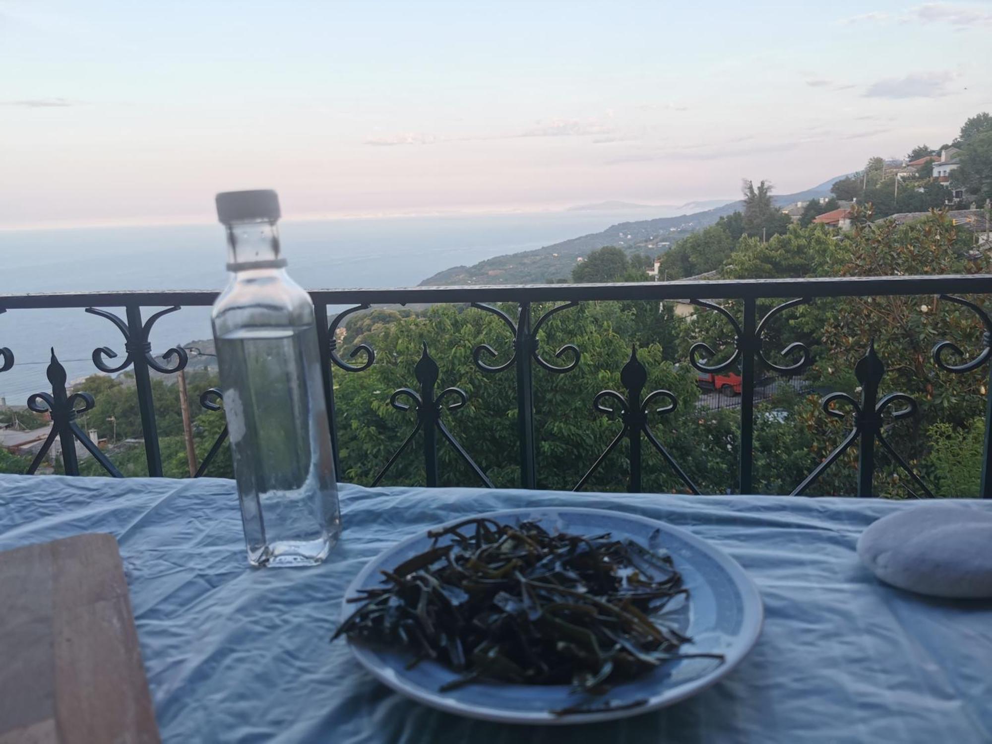 Guest House Pafili Zagora Dış mekan fotoğraf