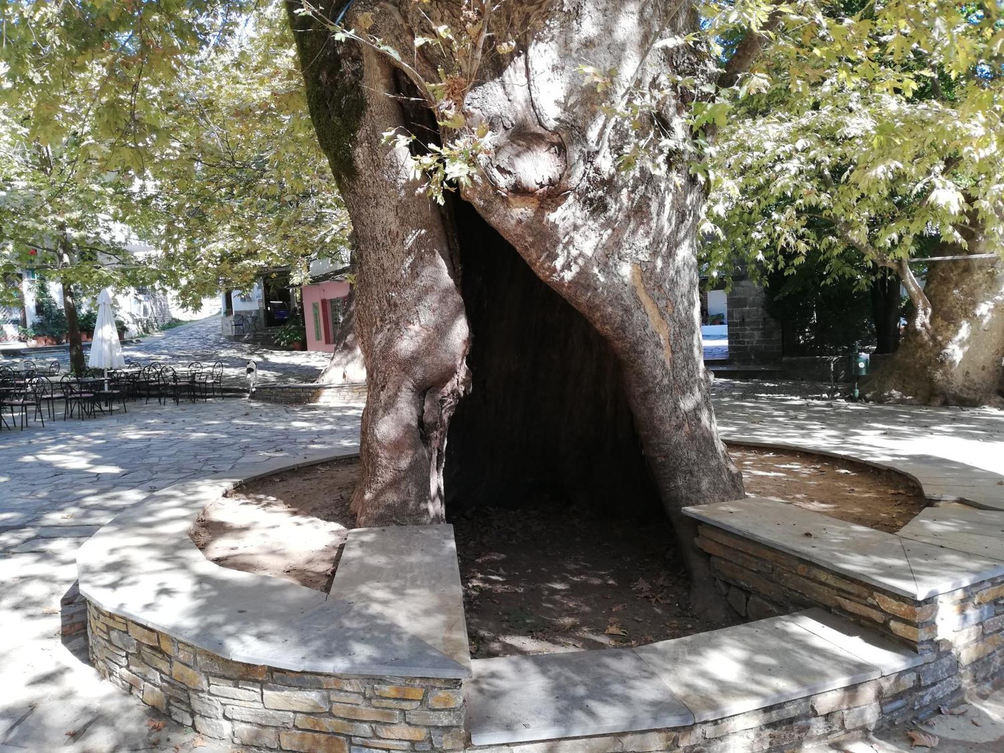 Guest House Pafili Zagora Dış mekan fotoğraf